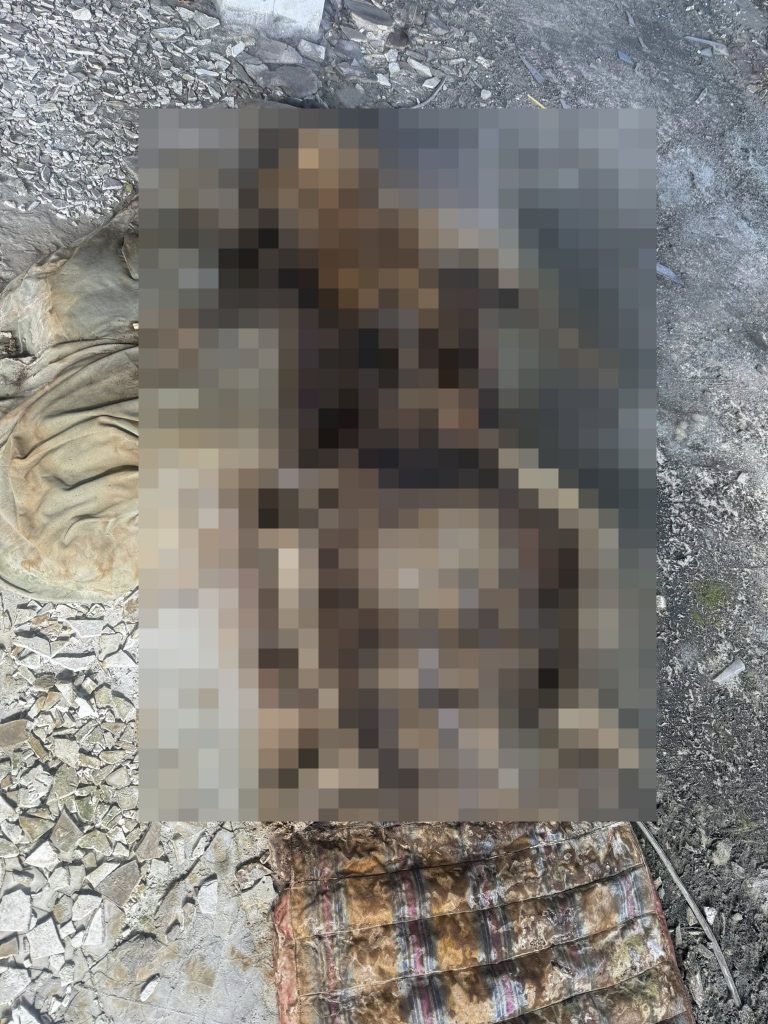 human skeleton lost phone