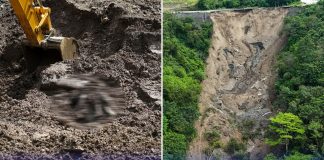 Elderly couple hugging landslide (4)
