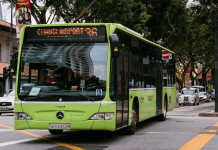 LTA bus