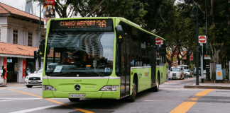 LTA bus