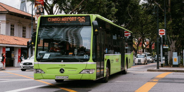 LTA bus