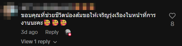 motorcyclist cat highway