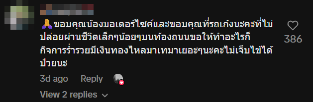 motorcyclist cat highway