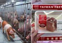Taiwan pork