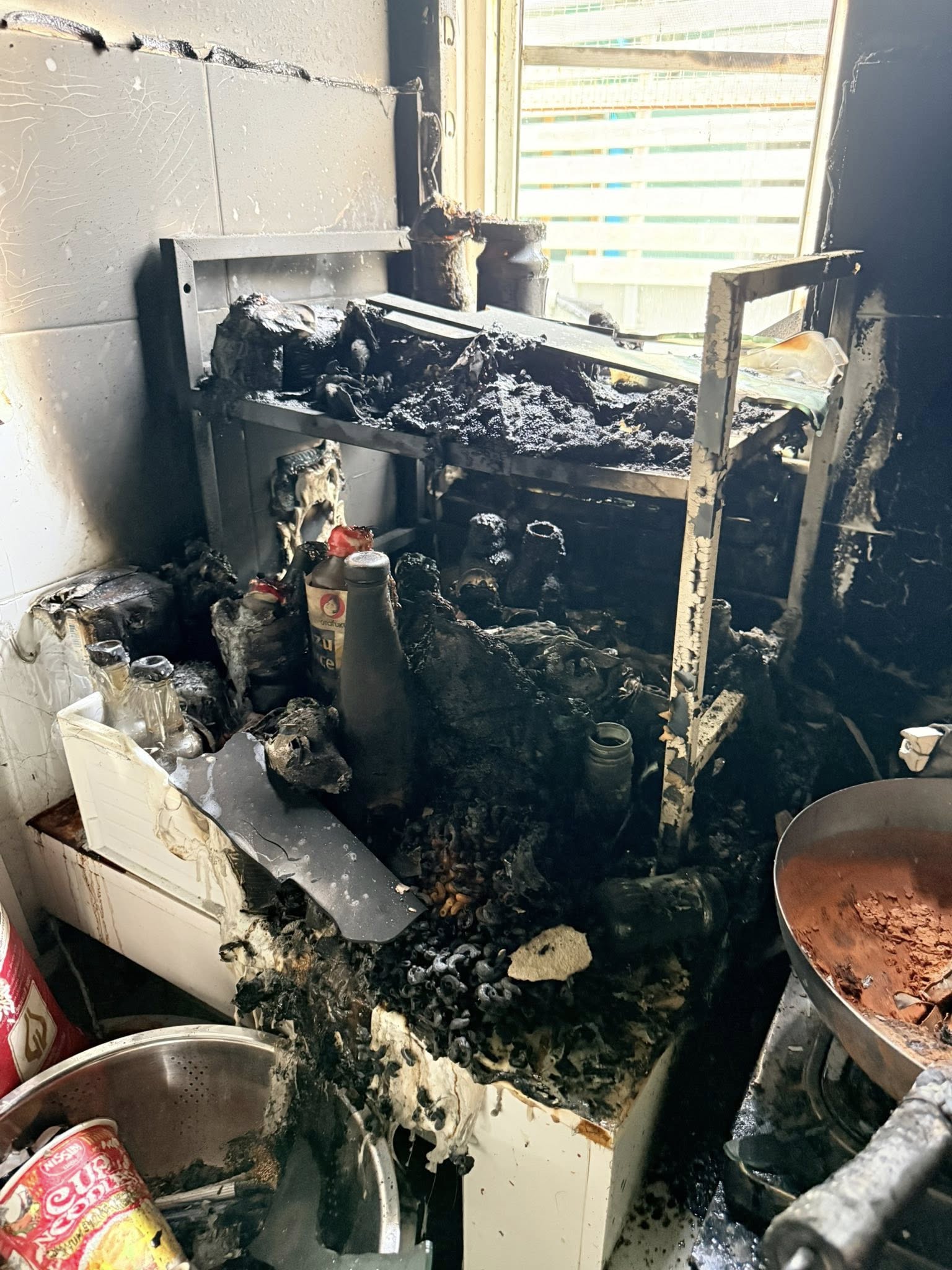 cats survive fire home burned