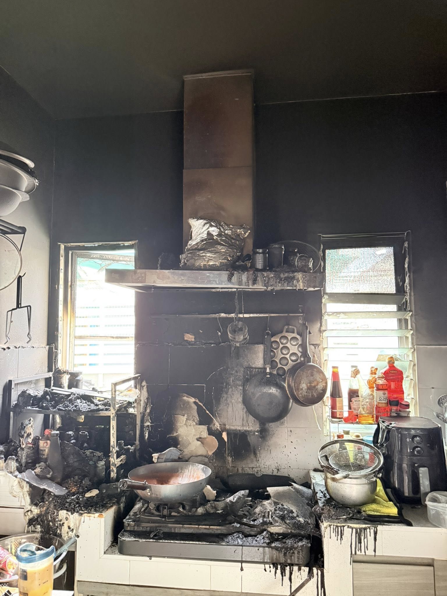 cats survive fire home kitchen