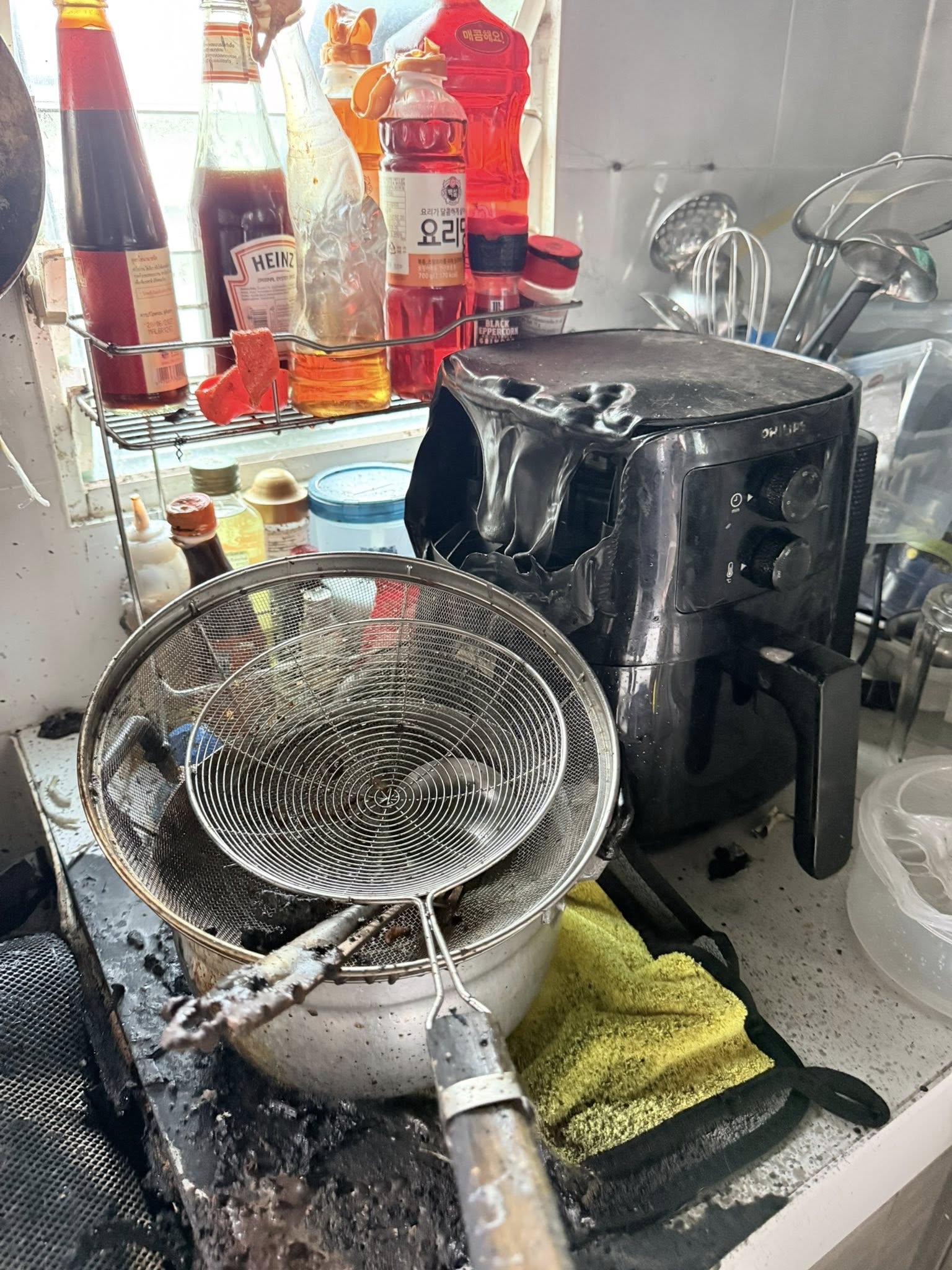 cats survive fire home air fryer