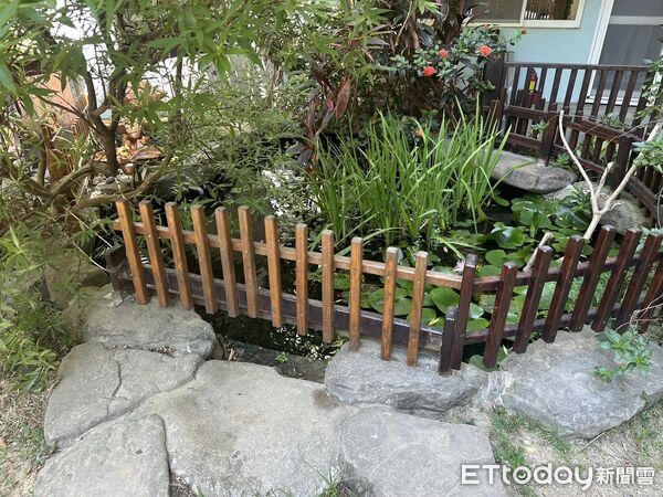 toddler kindergarten pond