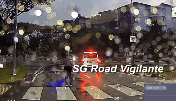 van woman zebra crossing