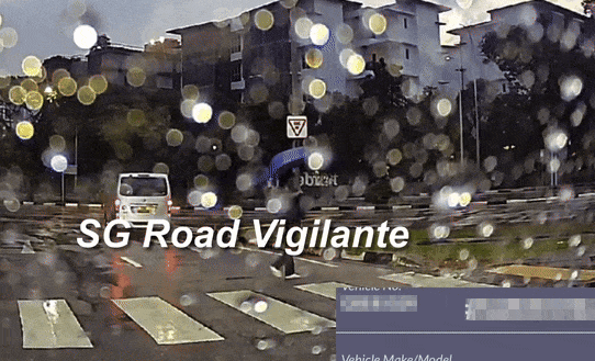 van woman zebra crossing