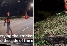 hit-and-run