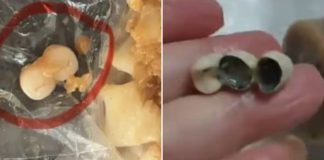 human teeth sausages dim sum