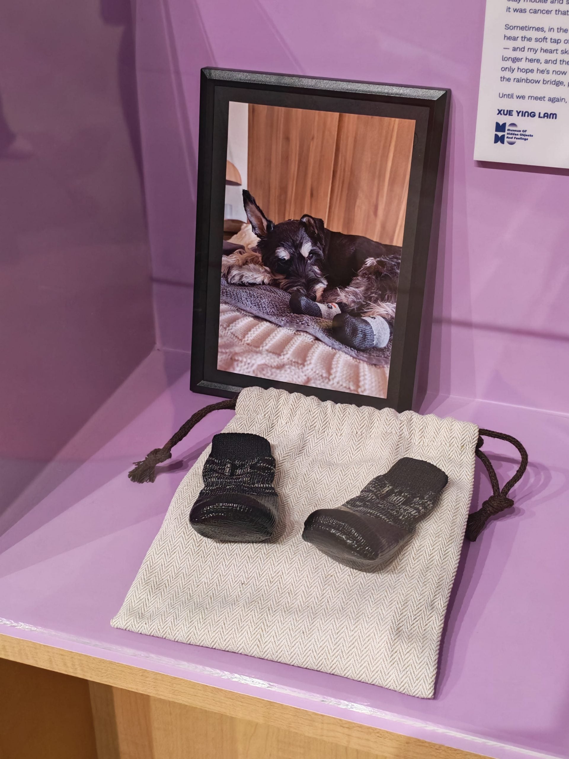 interactive exhibition loneliness