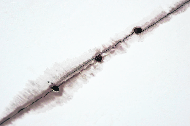 father daughter dead sengkang