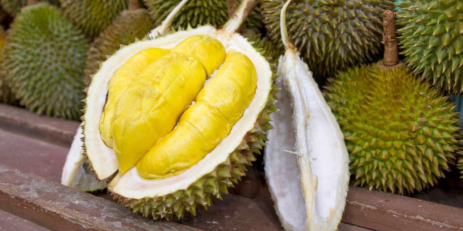 smelly durians gas leak fruit