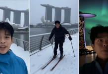 snow Singapore ai