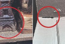 termite infestation