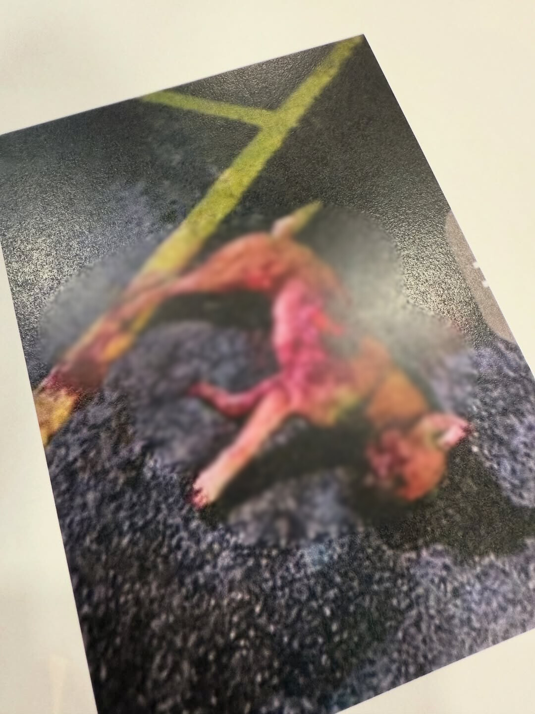 Source: @shimaaris on Instagram