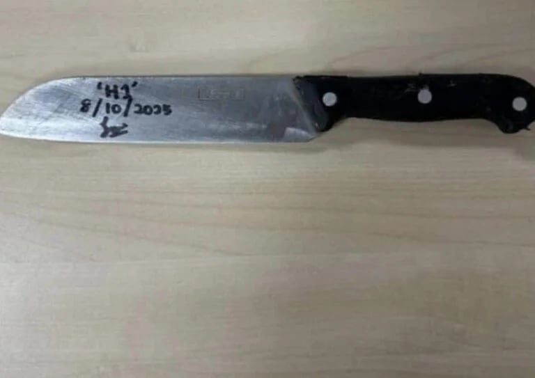 woman genitals divorced knife