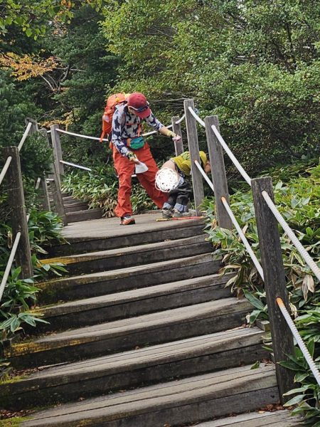 china tourist defecate park