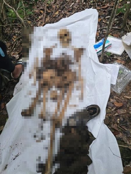 human remains koh larn