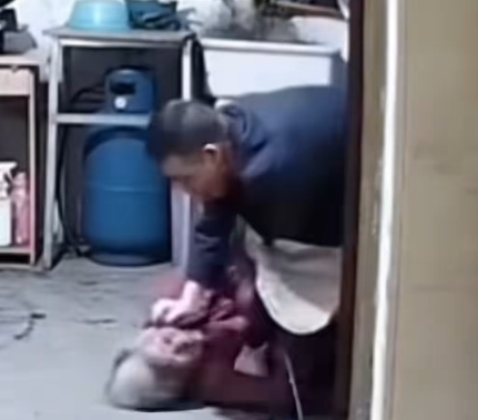 man assaulting mother argument