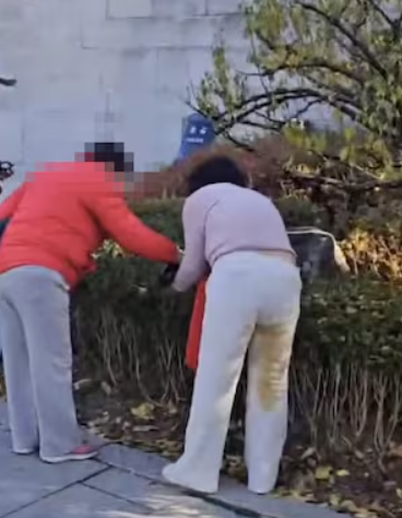 tourists defecating palace walls