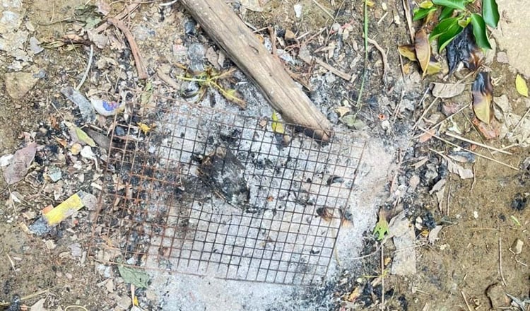 man poisoning lizard eggs