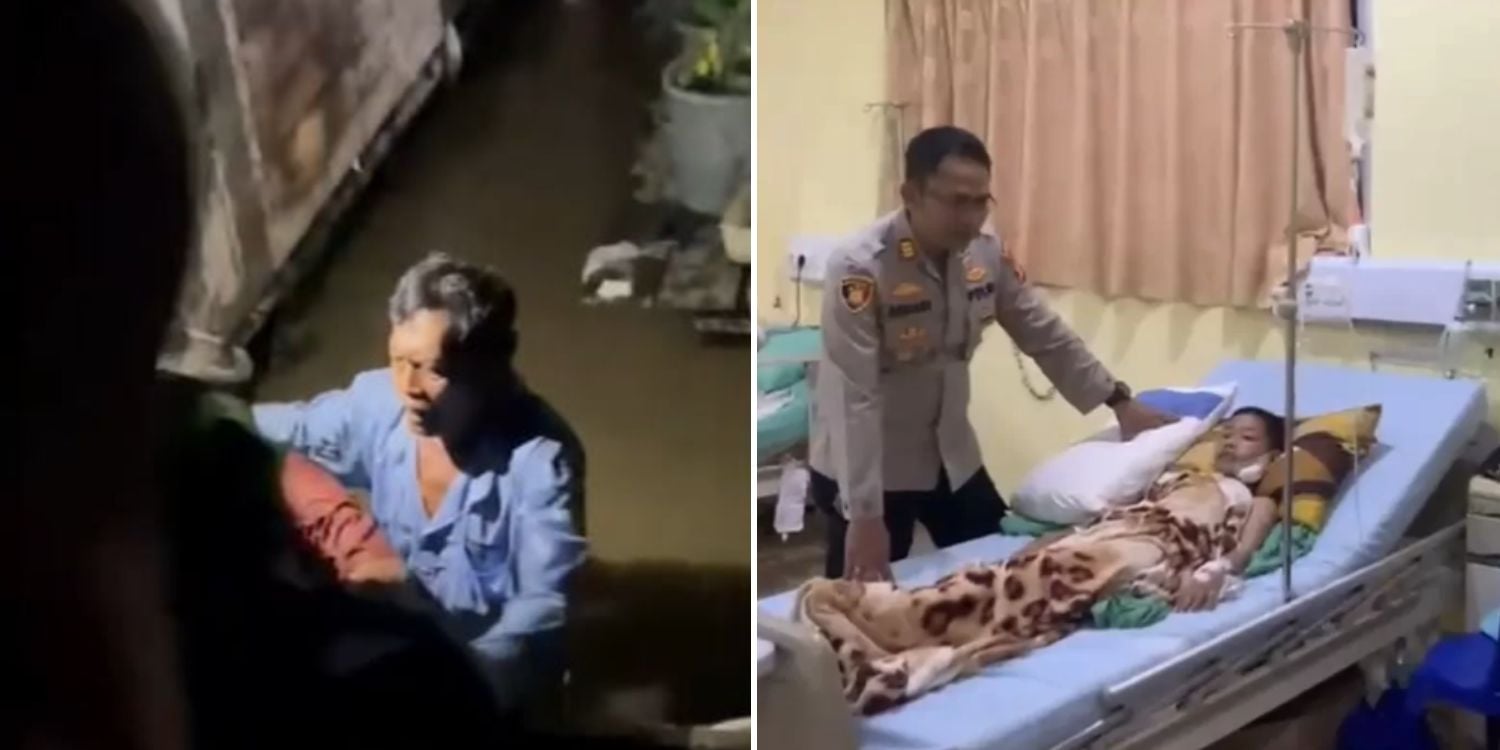 boy attacked crocodile house