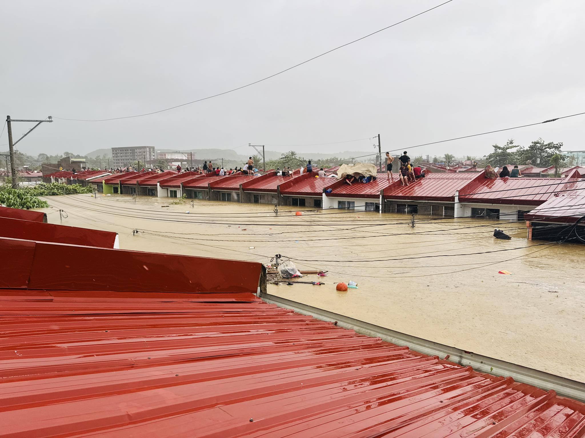 boy saves people typhoon kalmaegi (3)