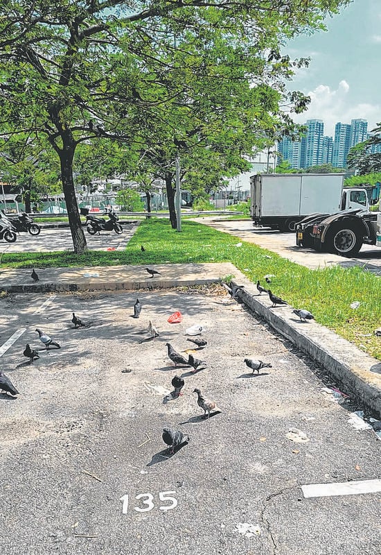 sungei kadut carpark litter