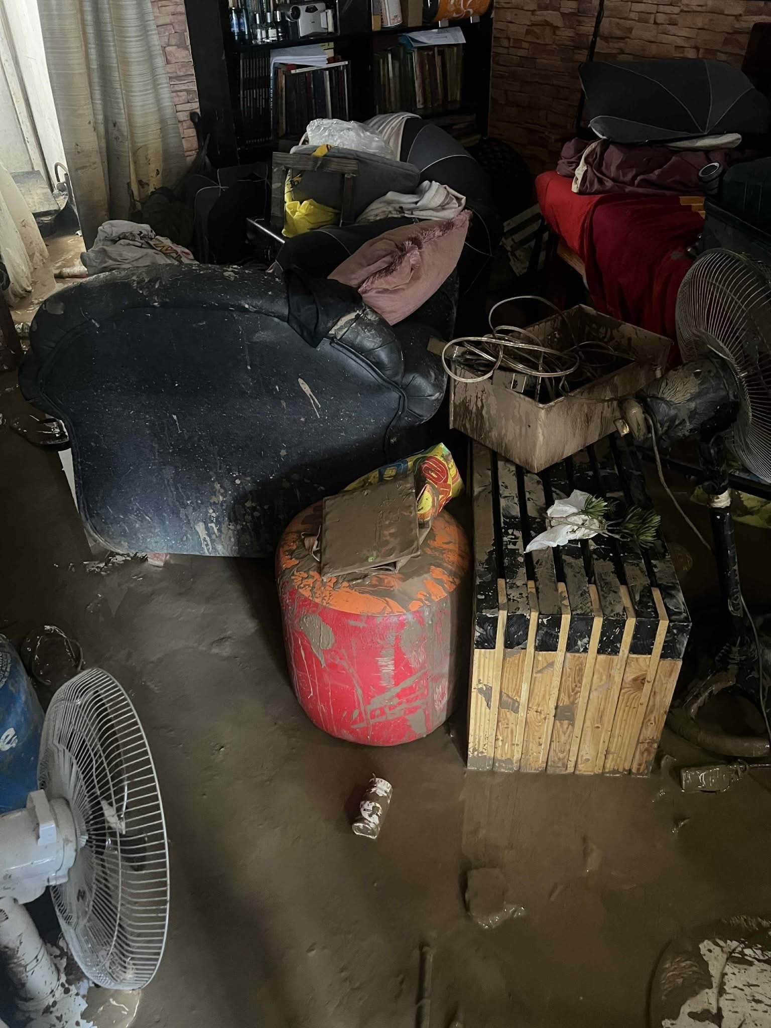 cat saves family typhoon kalmaegi (2)