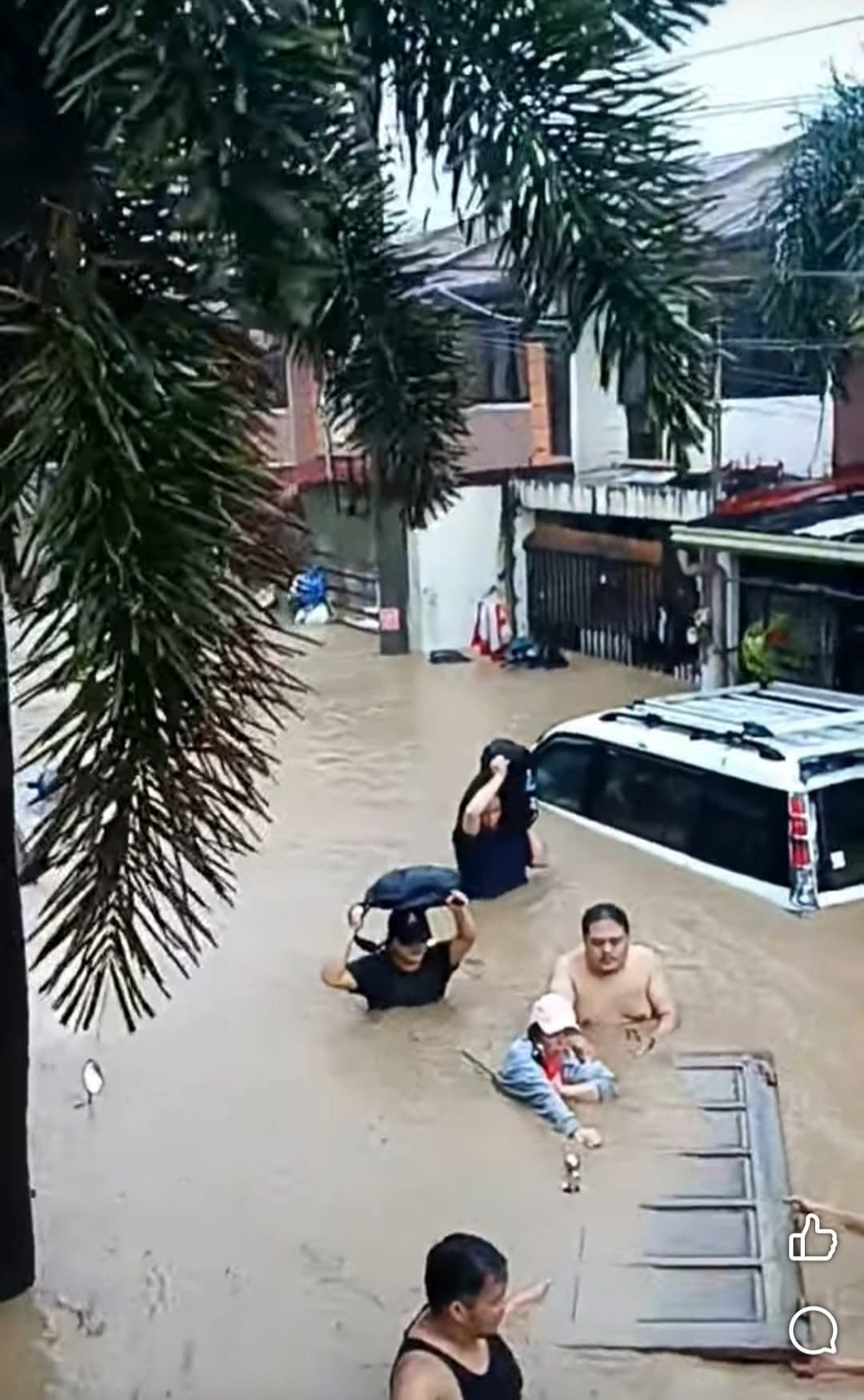 cat saves family typhoon kalmaegi (3)