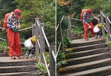 china tourist defecate park