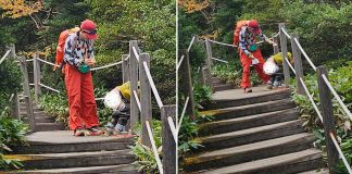 china tourist defecate park