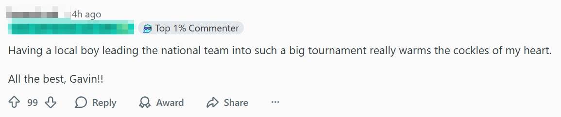 permanent Lions coach