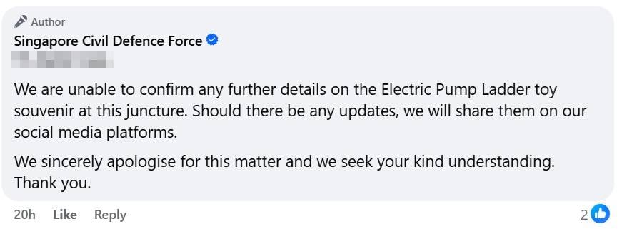 Electric Pump Ladder