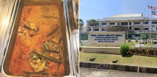 contaminated fish head curry