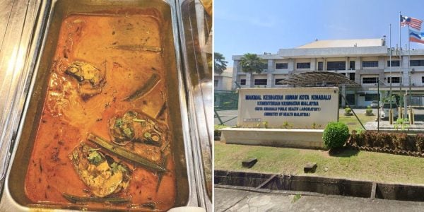 contaminated fish head curry