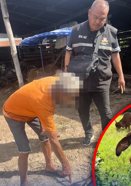 farmer shot cow crops police