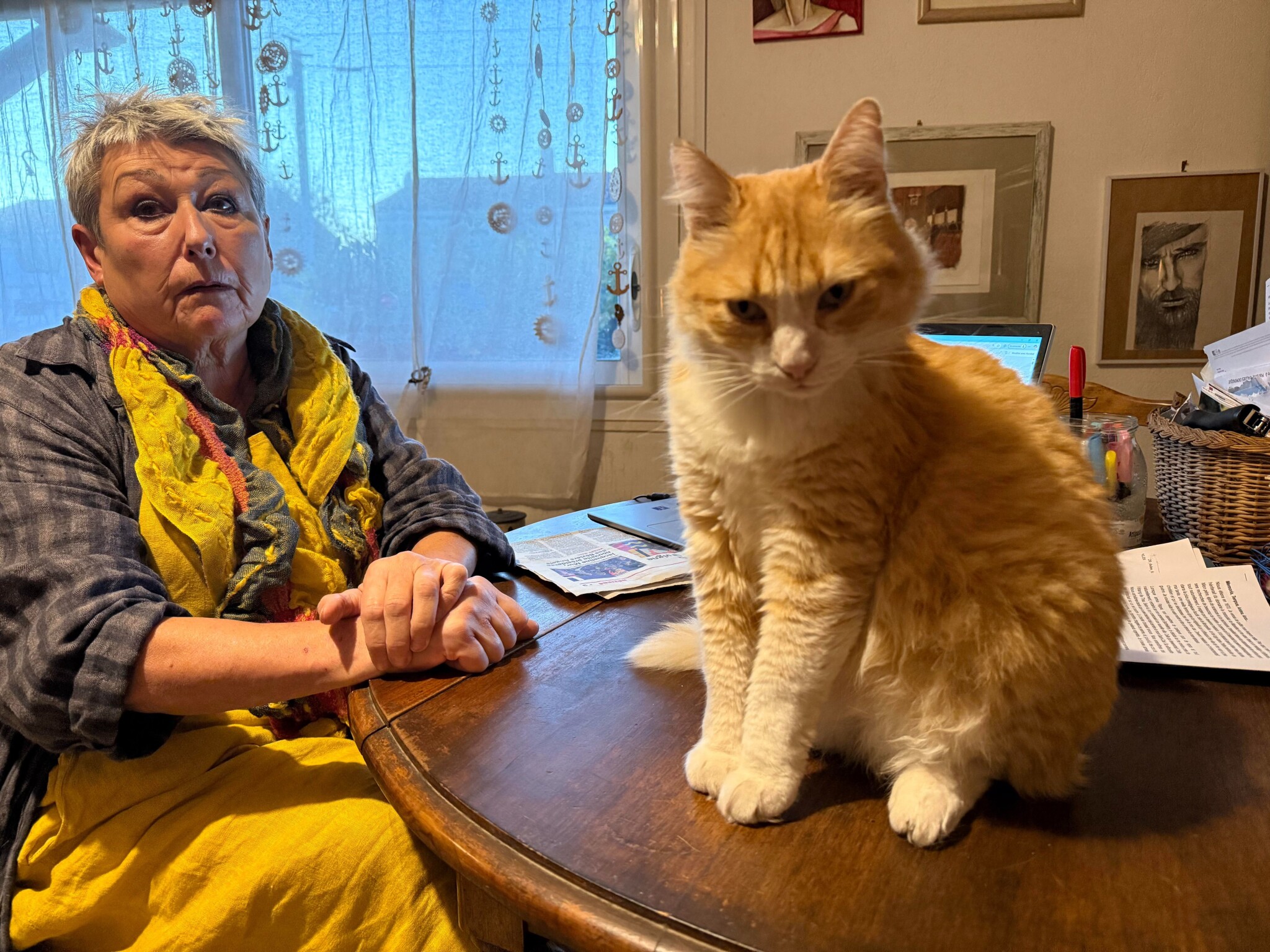 fined cat trespassed confined