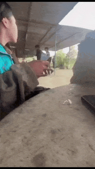 freshman shoots upperclassmen ganged clip