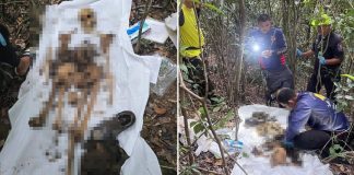 human remains koh larn