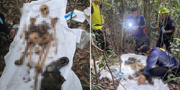 human remains koh larn