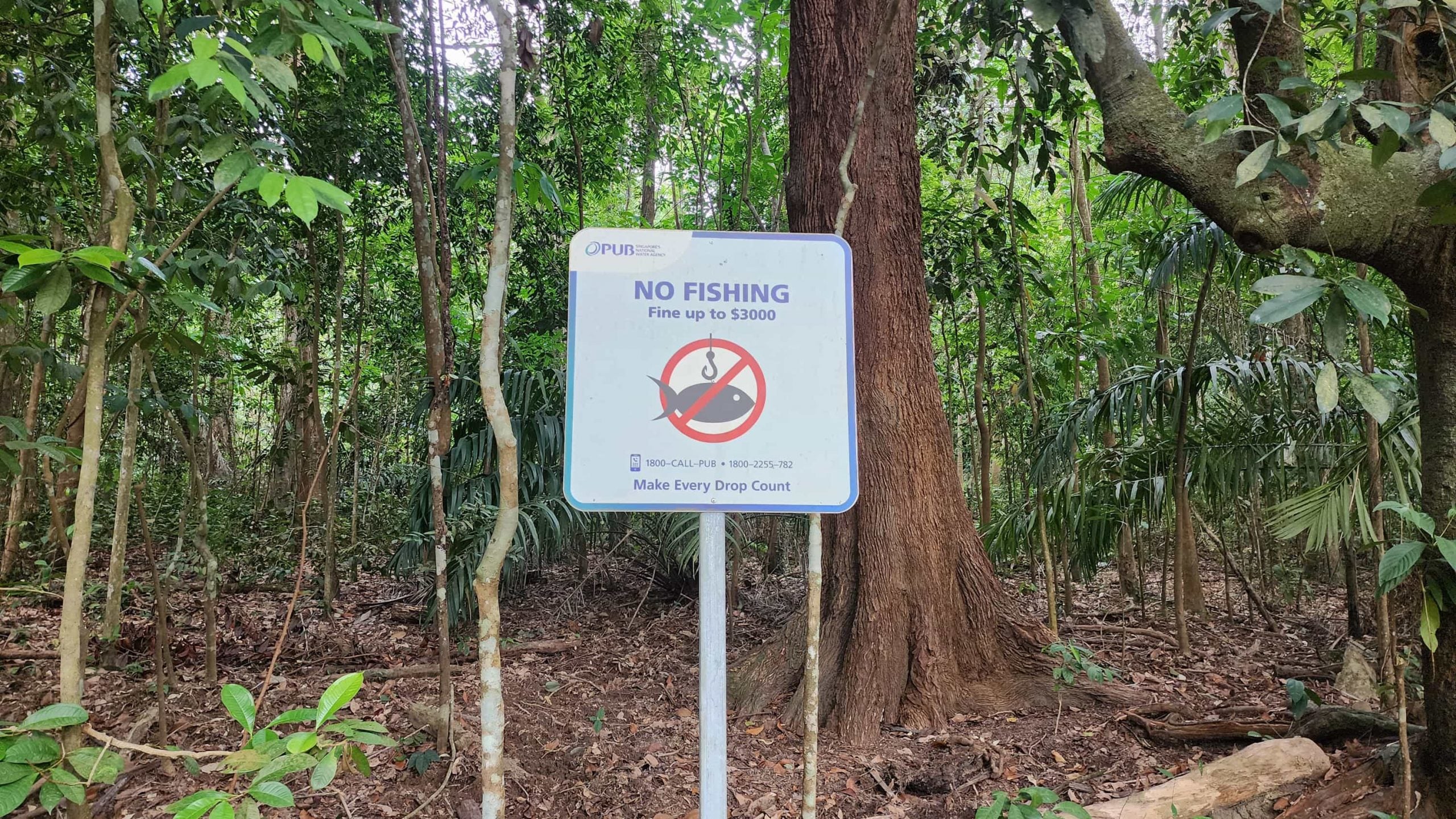 illegally fishing peirce reservoir