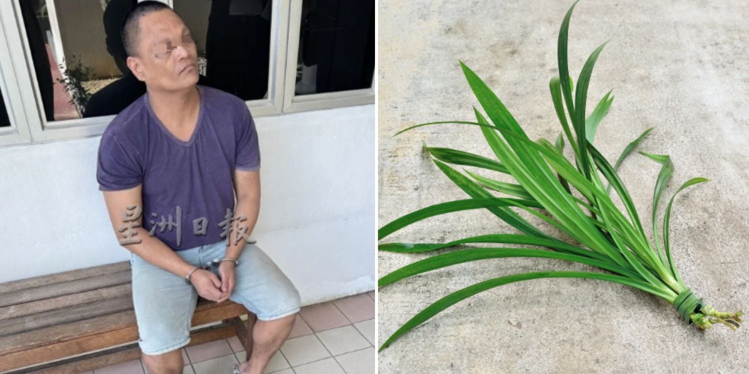 man aunt pandan leaves