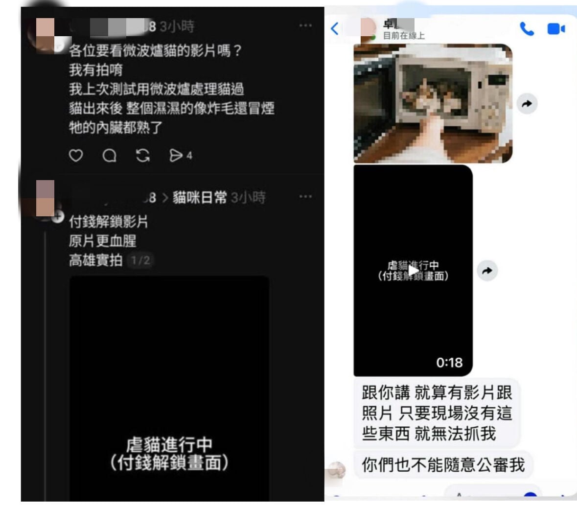 man microwaved kitten message