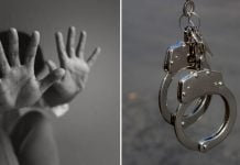 man sexual assault niece