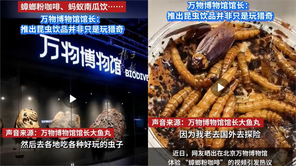 museum cockroach coffee mealworm