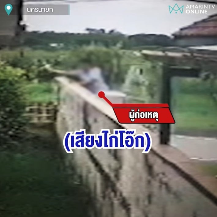 neighbour screeching chicken toy wall